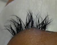 Images 14